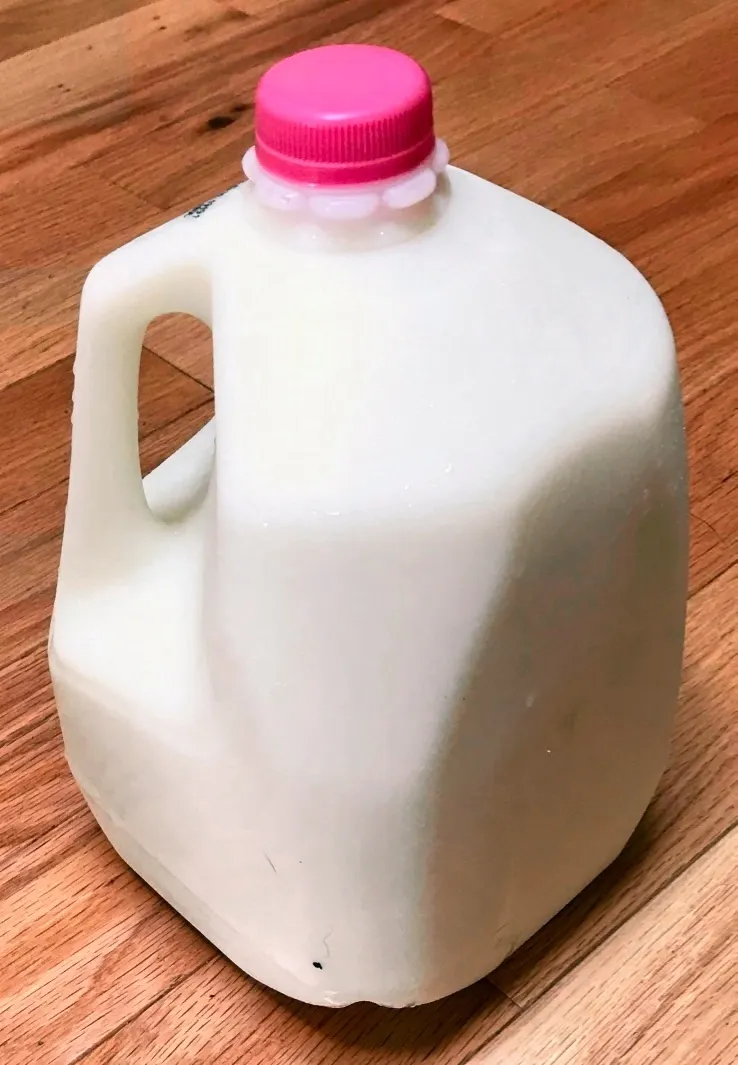 The Ugly Plastic Jug That Quietly Rearranged the American Kitchen